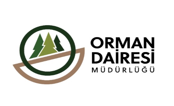 Odun fiyatlarında indirime gidildi