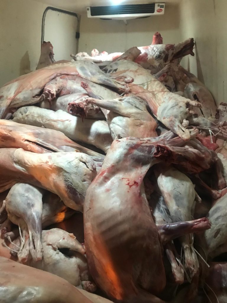 Lefke’de 3 ton kaçak et ele geçirildi