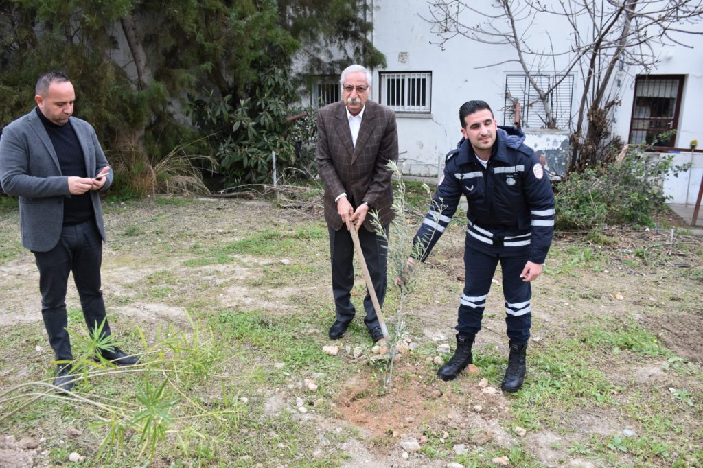 Girne’deki koruluğa fidan dikildi