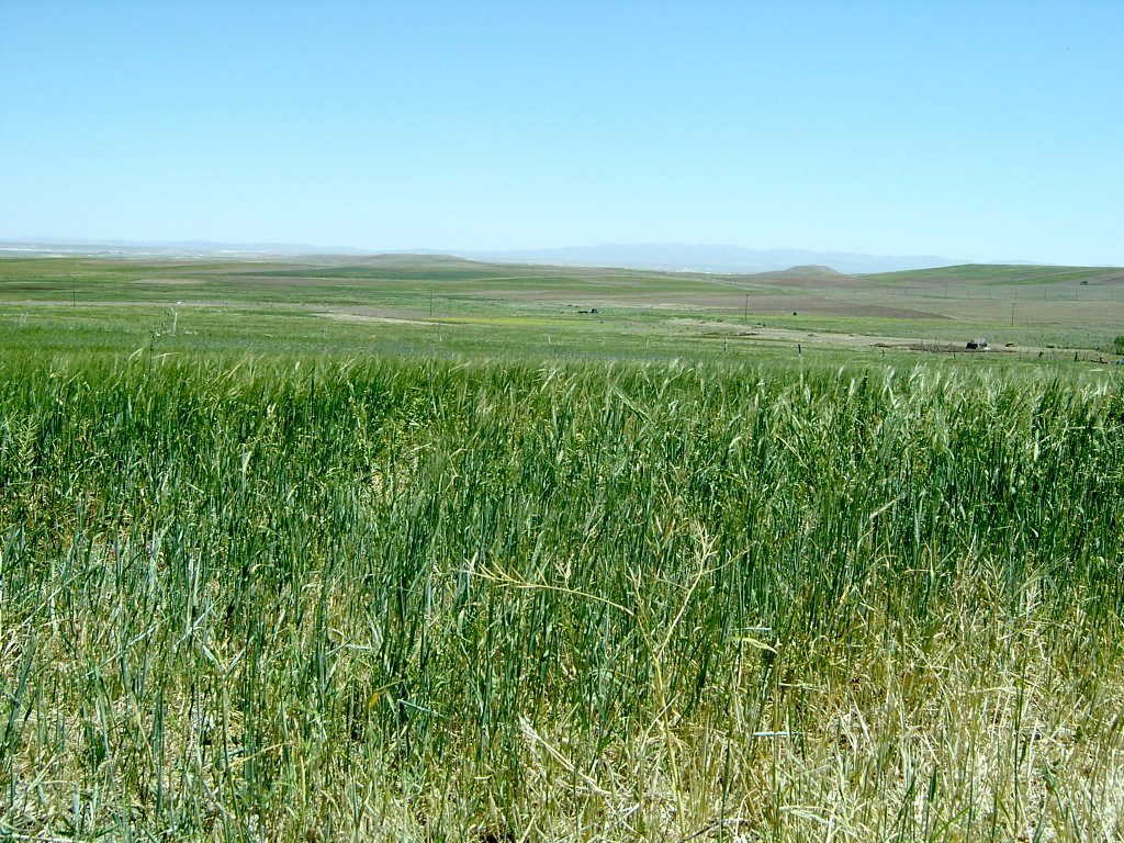 Ekilen/Dikilen ve Nadasa bırakılan arazilerle ilgili 14 Şubat son gün