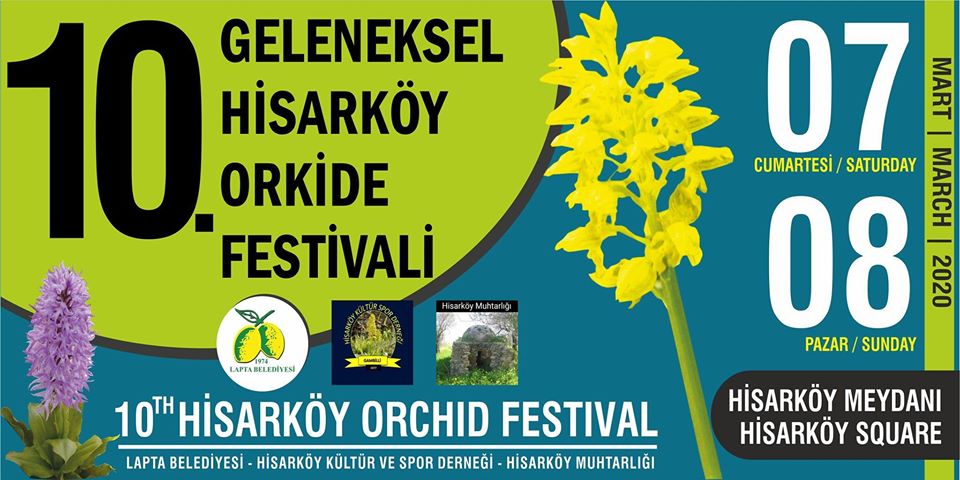 Hisarköy orkide festivali hafta sonu