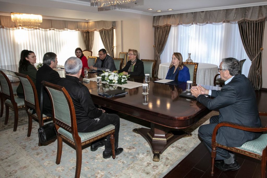 Cumhurbaşkanı Akıncı sağlık danışma kurulu ile toplantı yaptı