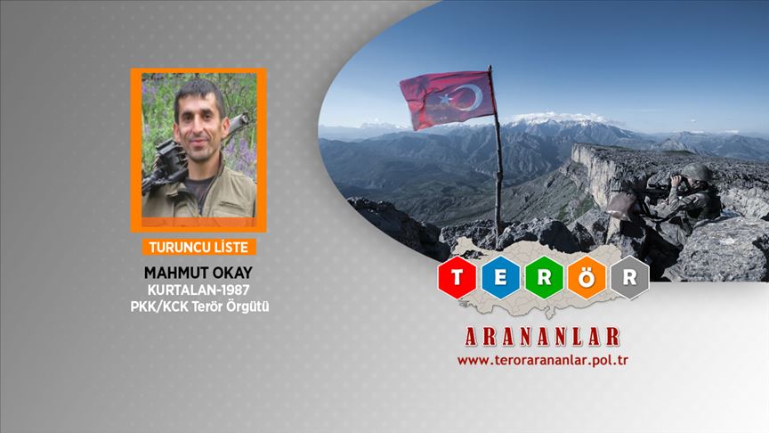 1 milyon TL ödülle aranan terörist yakalandı