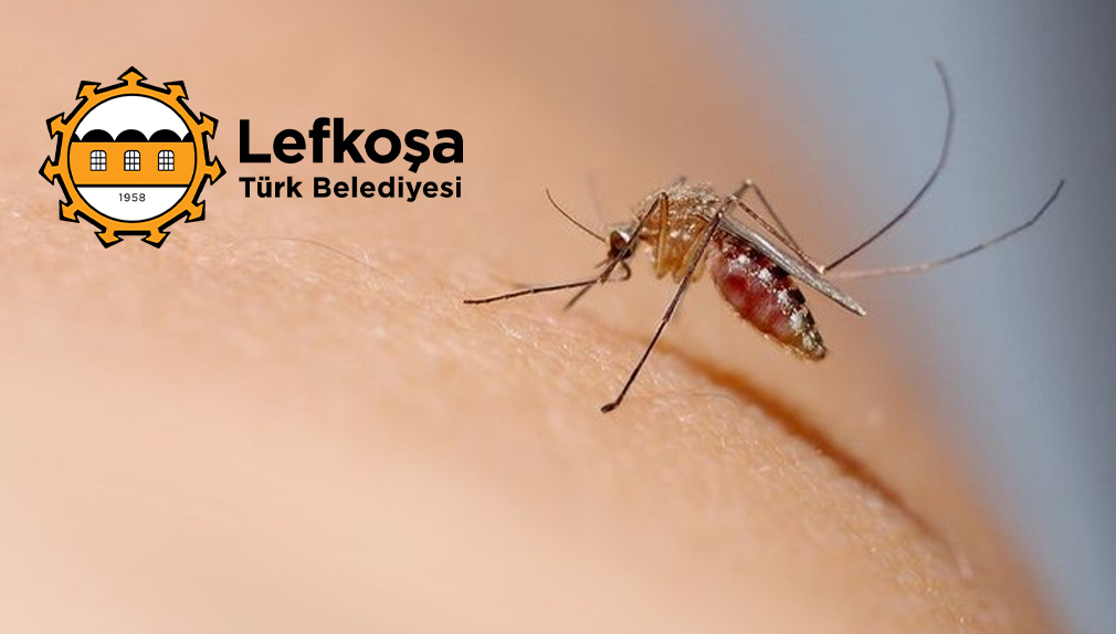 LTB’den sivrisineklere karşı ortak mücadelede çağrısı
