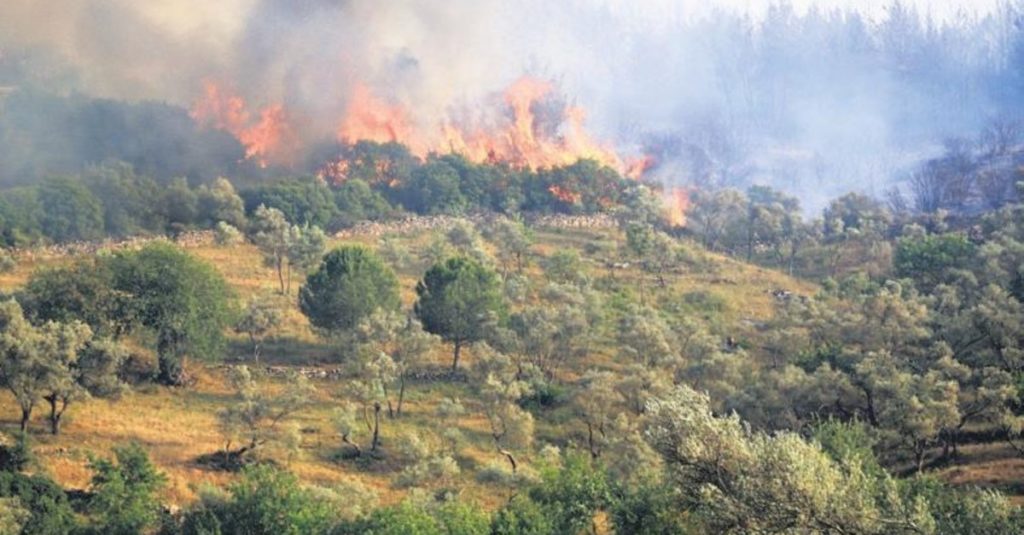 30 dönümlük çam ağacı ,maki bitki örtüsü ve kuru otlar yandı