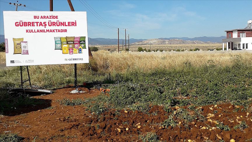 Patates verimini artıran üretim tekniği uygulandı