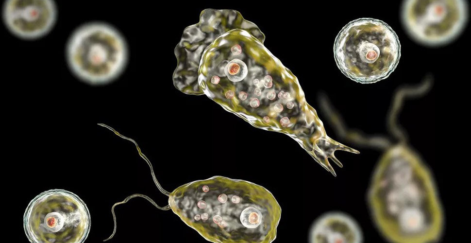 ABD’de yeni alarm! Beyin yiyen amip