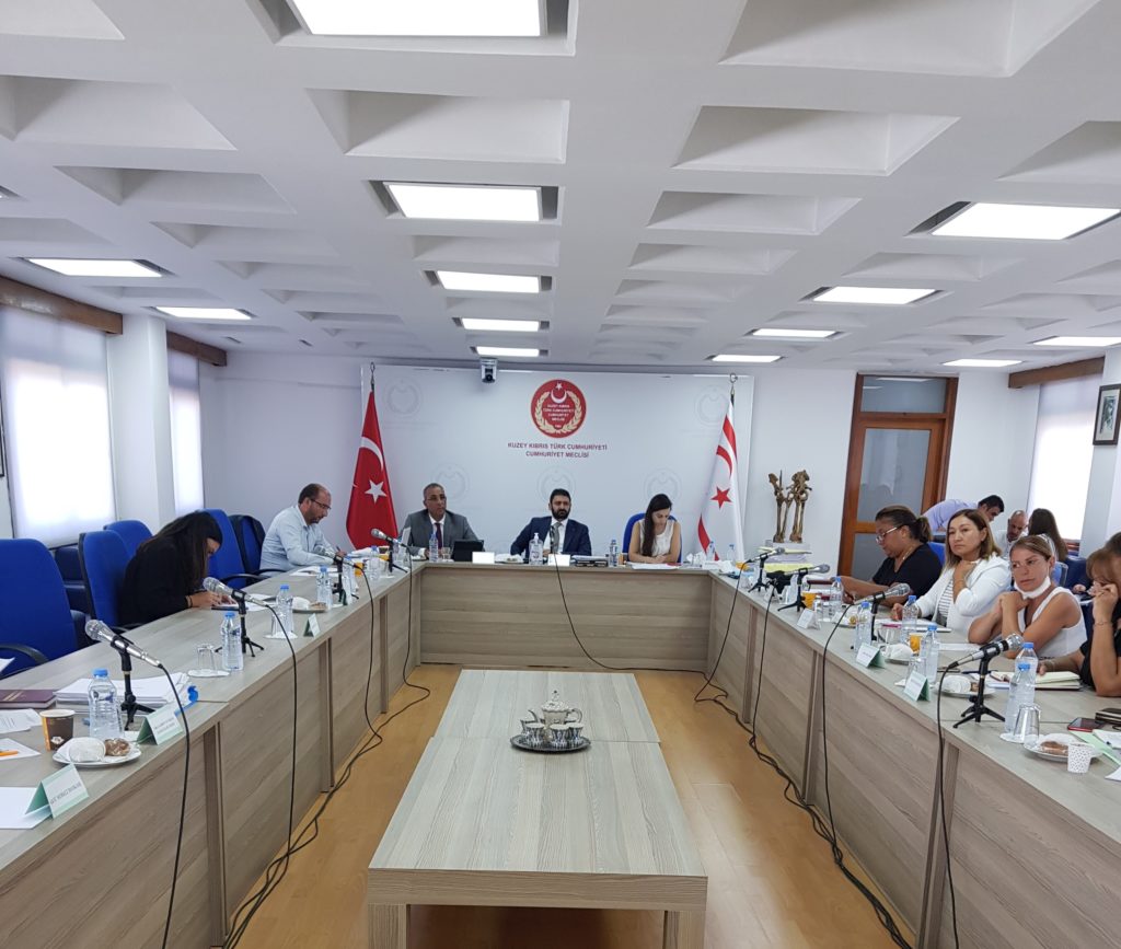 Meclis, ekonomi, maliye, bütçe ve plan komitesi toplandı
