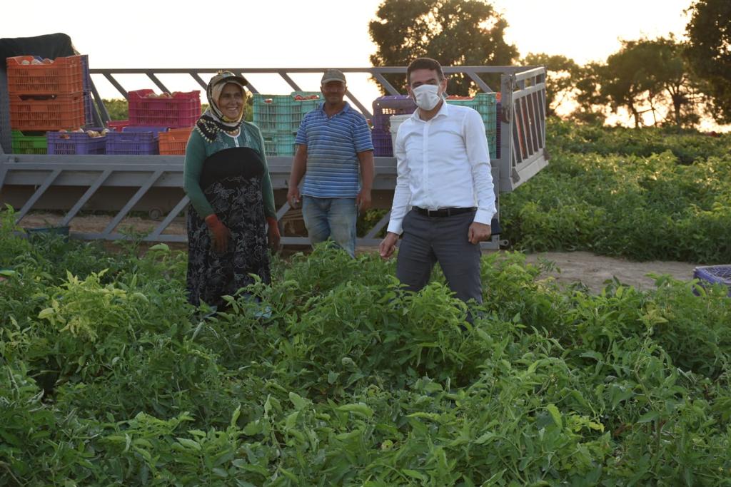 Tarım Bakanı Oğuz, domates üreticilerini ziyaret etti