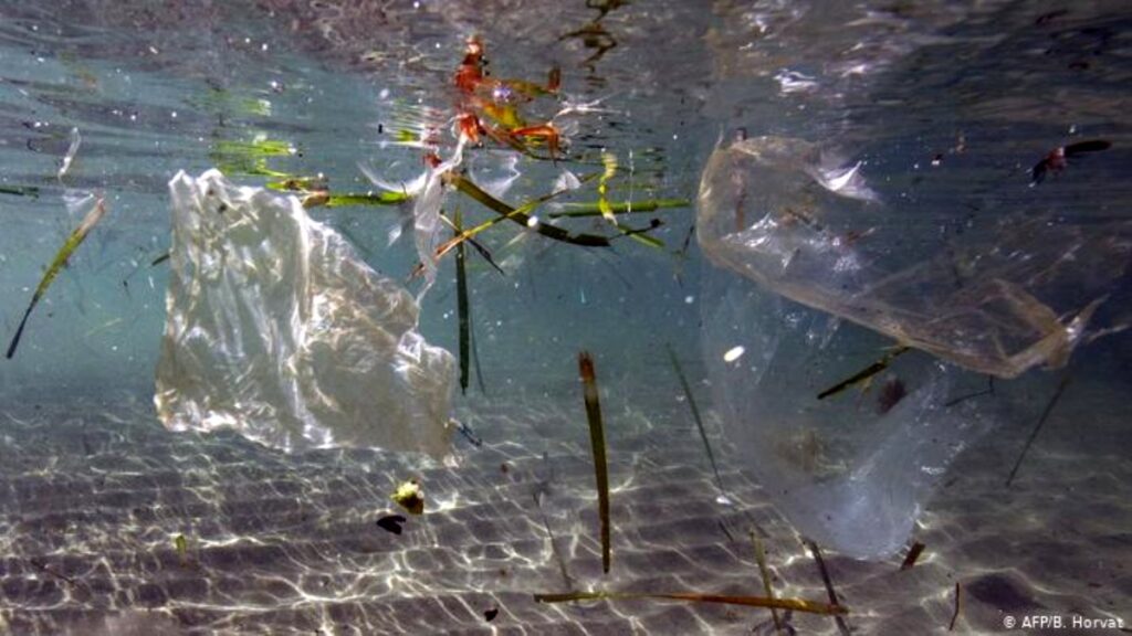 Akdeniz’de plastik facia uyarısı!