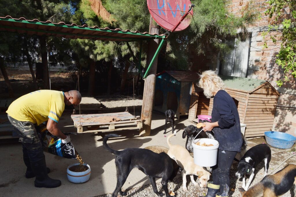 LTB barınaktaki ve sokaktaki hayvanların yanında