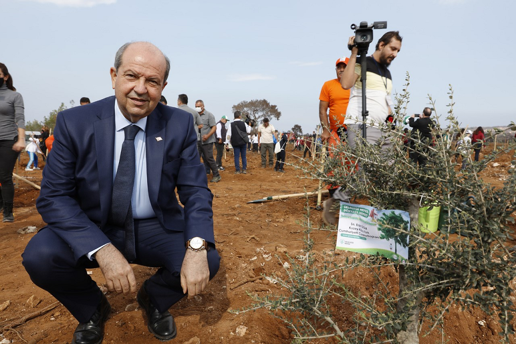 3 bin adet harnup ve zeytin fidanı dikildi