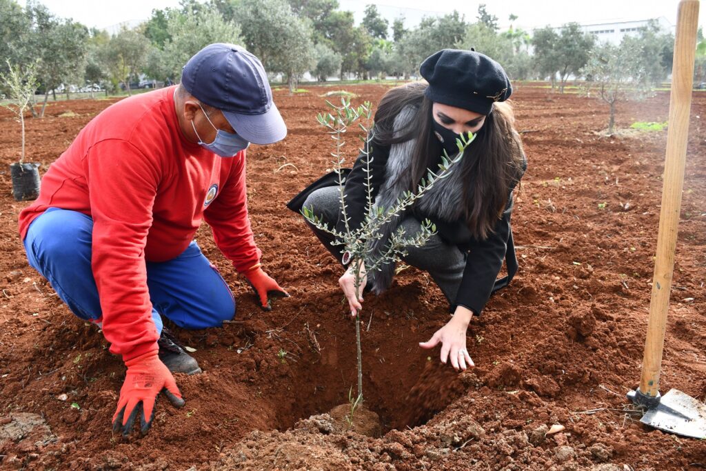 DAÜ’den yeni yılda doğaya 3 bin fidan