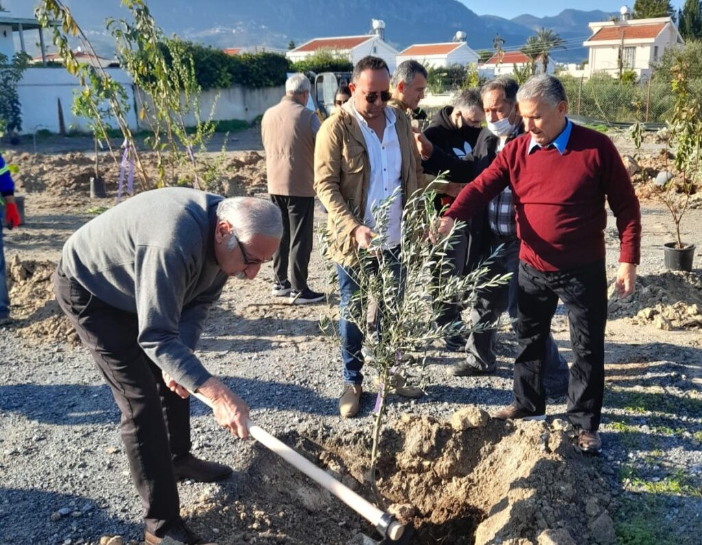 Girne Belediyesi Karaoğlanoğlu’nda ağaç dikti