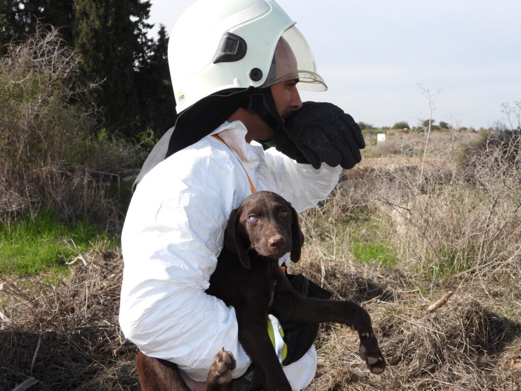 İskele’de kuyuya düşen köpek, operasyonla kurtarıldı