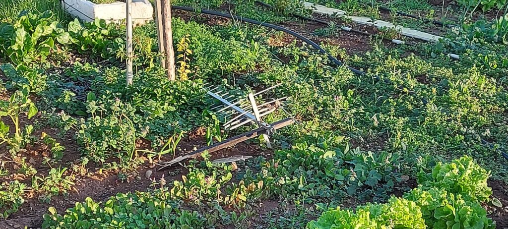Fırtına ve yağmur Yayla ve Aydınköy’de hasara yol açtı