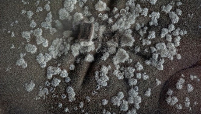 Covid-19’dan bile tehlikeli!