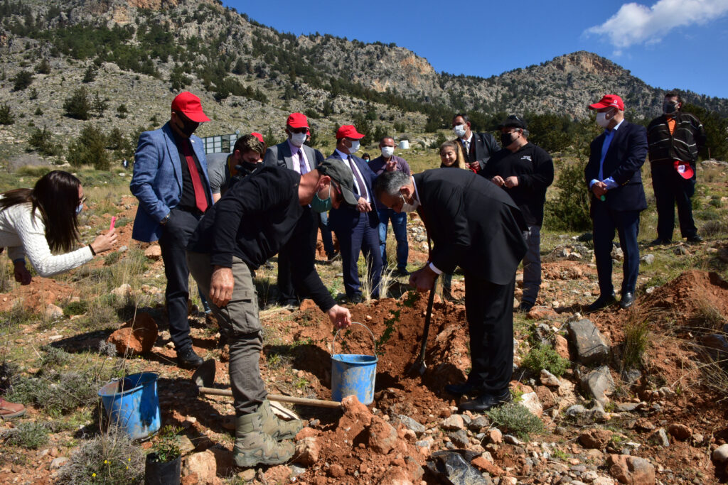 Taşkent Doğa Parkı’nda fidan dikildi