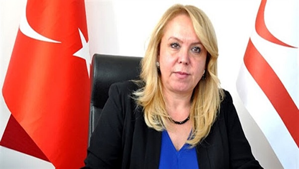 “Resmi istatistik program taslağı” hakkında bilgilendirme toplantıları yapılıyor