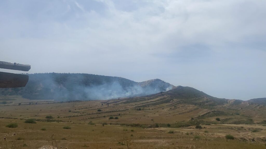 Gürpınar’da yangın