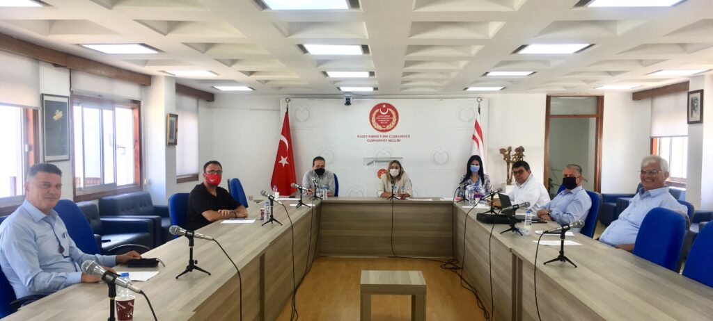 Orman Yangınlarını Araştırma Komitesi toplandı