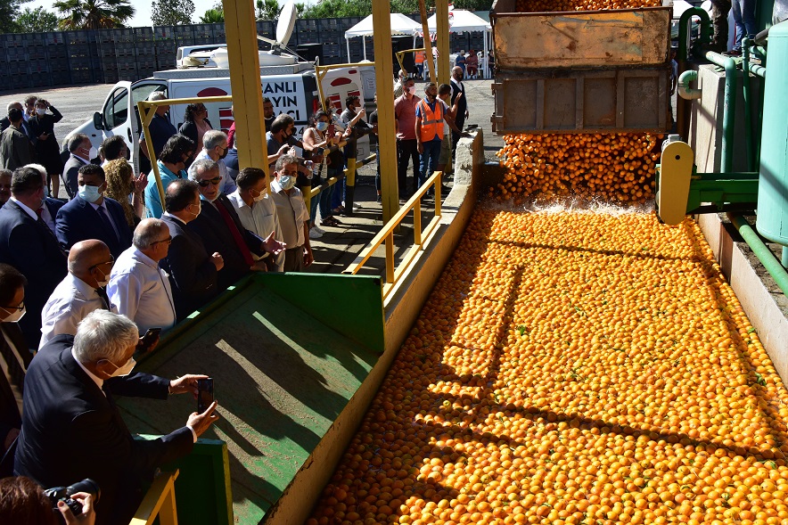 Cypfruvex hasat sonu töreni düzenledi