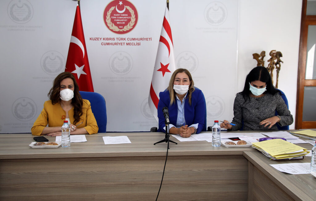 ‘Evlilik Dışı Çocuklar Yasa Önerisi’ görüşüldü