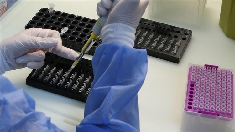 Kanadalı bilim insanları ağızda eriyen aşı bantları üzerinde çalışıyor