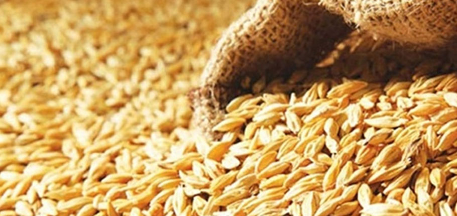 TÜK buğday alımına başladı