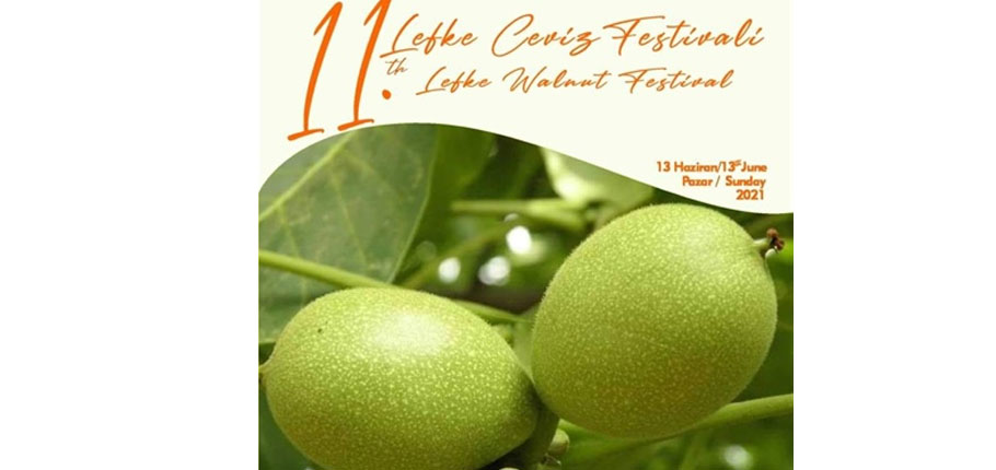 Lefke Ceviz Festivali bugün yapılıyor
