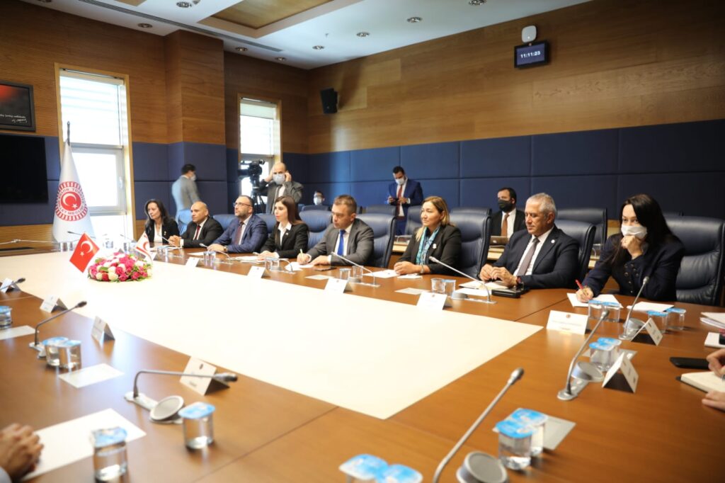 Dostluk grupları TBMM’de toplandı