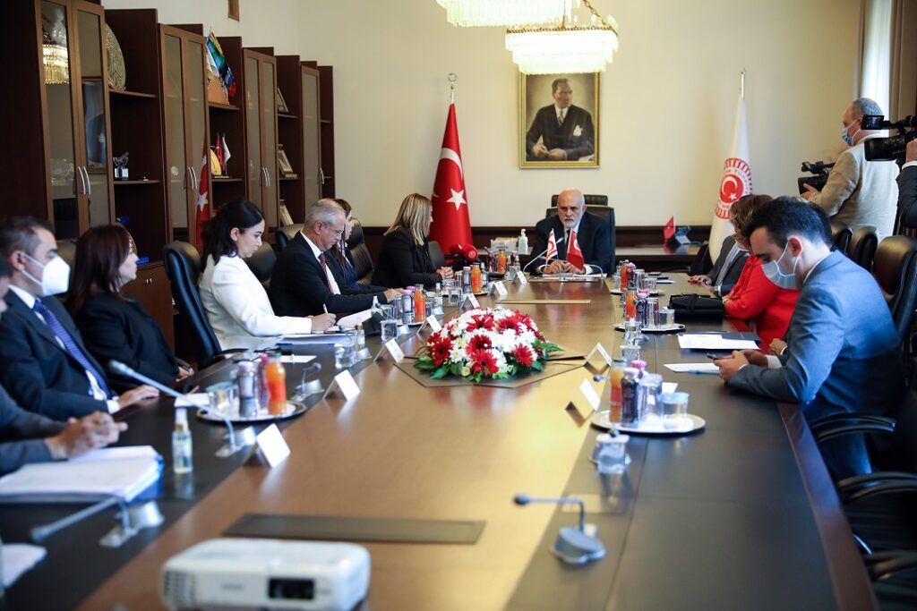 Hukuk, Siyasi İşler, Dış İlişkiler Komitesi, TBMM Başkan Vekili Bilgiç ile görüştü