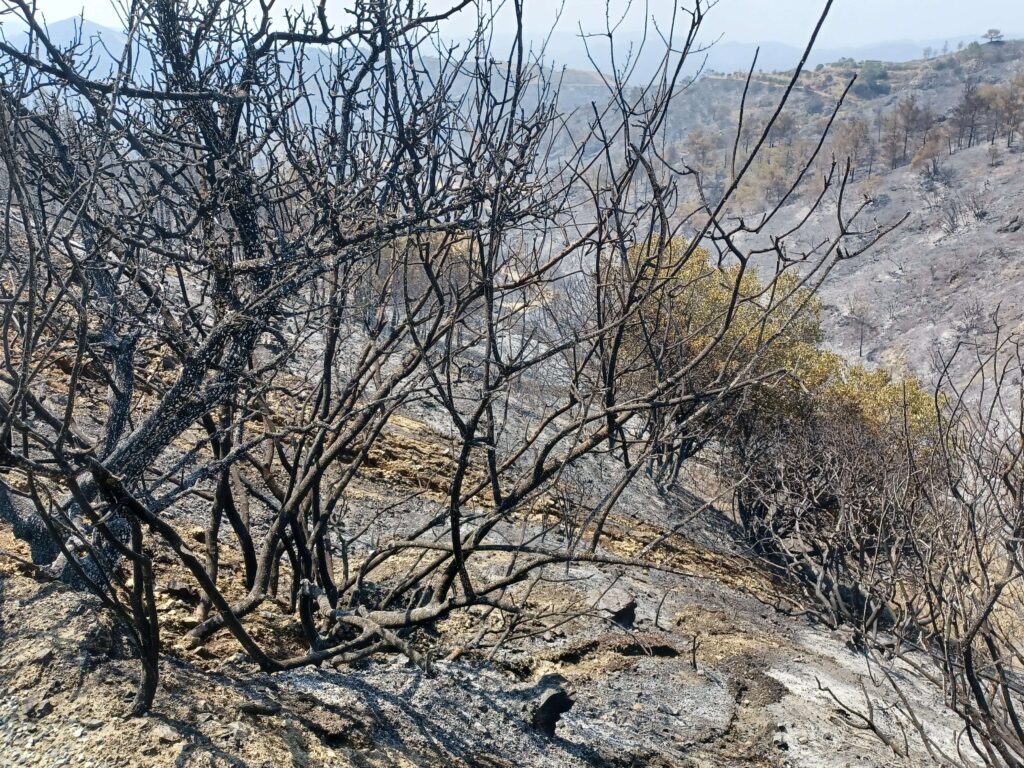 Güney Kıbrıs’taki yangın kısmen kontrol altına alındı