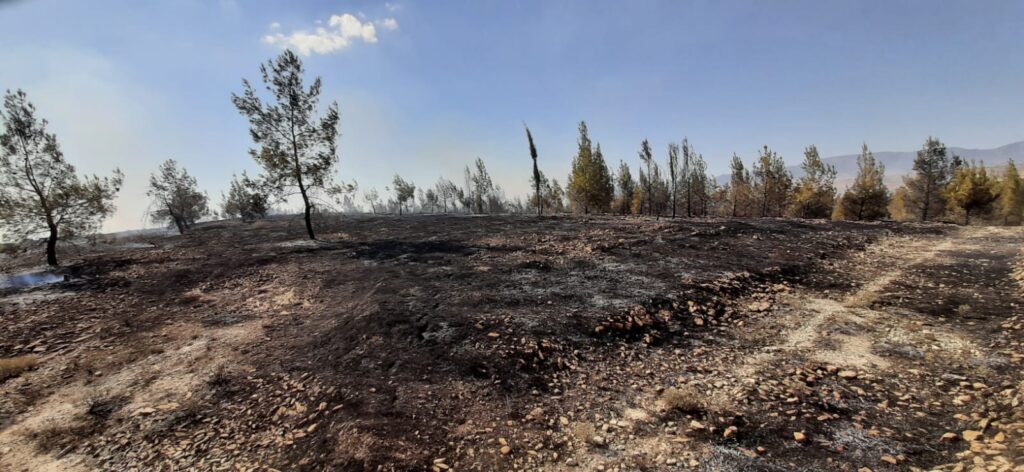 Alayköy çöplüğünde başlayan yangın 500 dönüm arazinin yanmasına yol açtı
