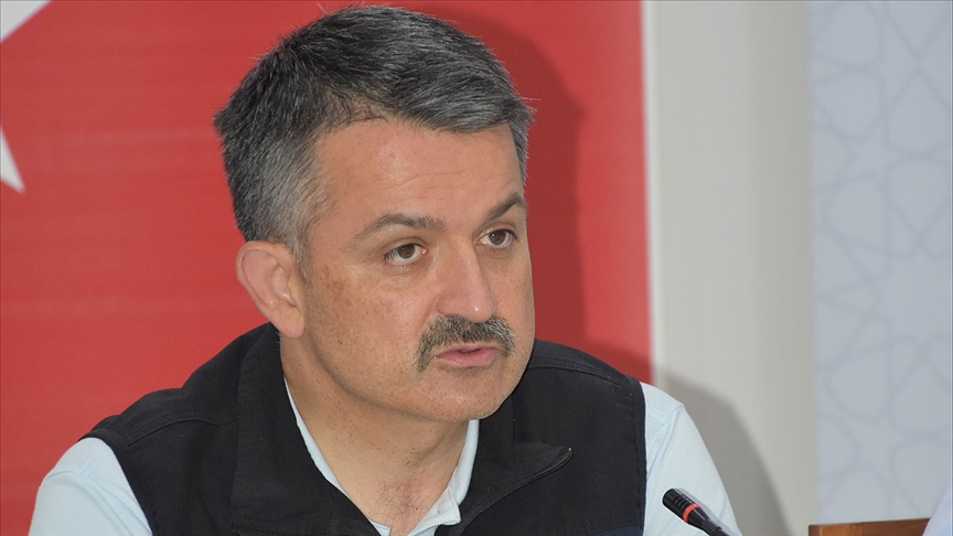 Pakdemirli: “Tüm yangınları kontrol altına aldık”