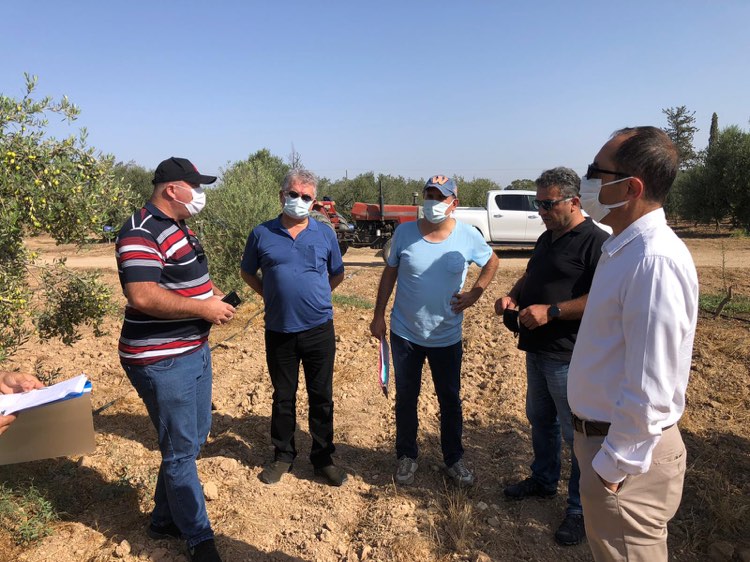 “Yerli zeytin tescili, ekonomik, coğrafi ve kültürel anlamında ülke adına büyük bir prestij”