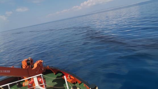Rum yetkili makamlar petrol sızıntısı konusunda teyakkuzda