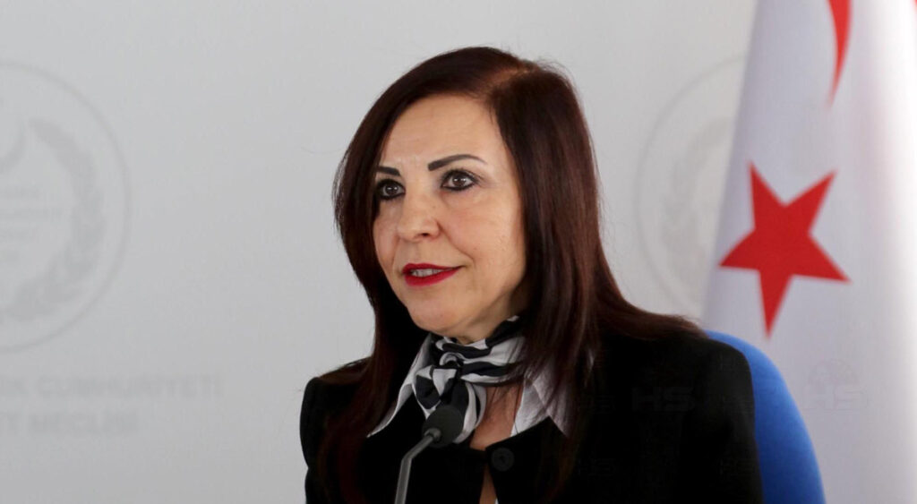 Ombudsman, Ambelia Ormanı’nın kiralanmasına ilişkin raporu yayımladı