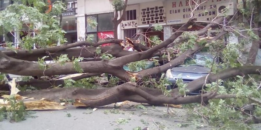 Şiddetli rüzgârlar Güney Kıbrıs’ı olumsuz etkiledi