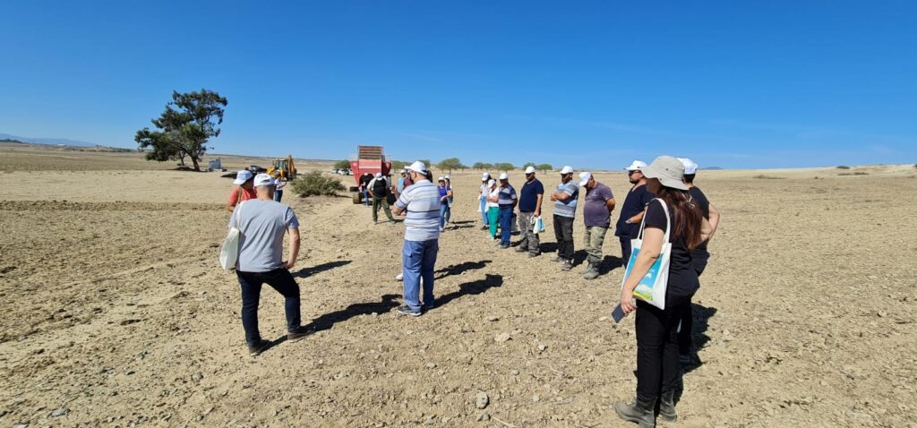 Atın çamur, tahıl üretiminde verimi artırıyor