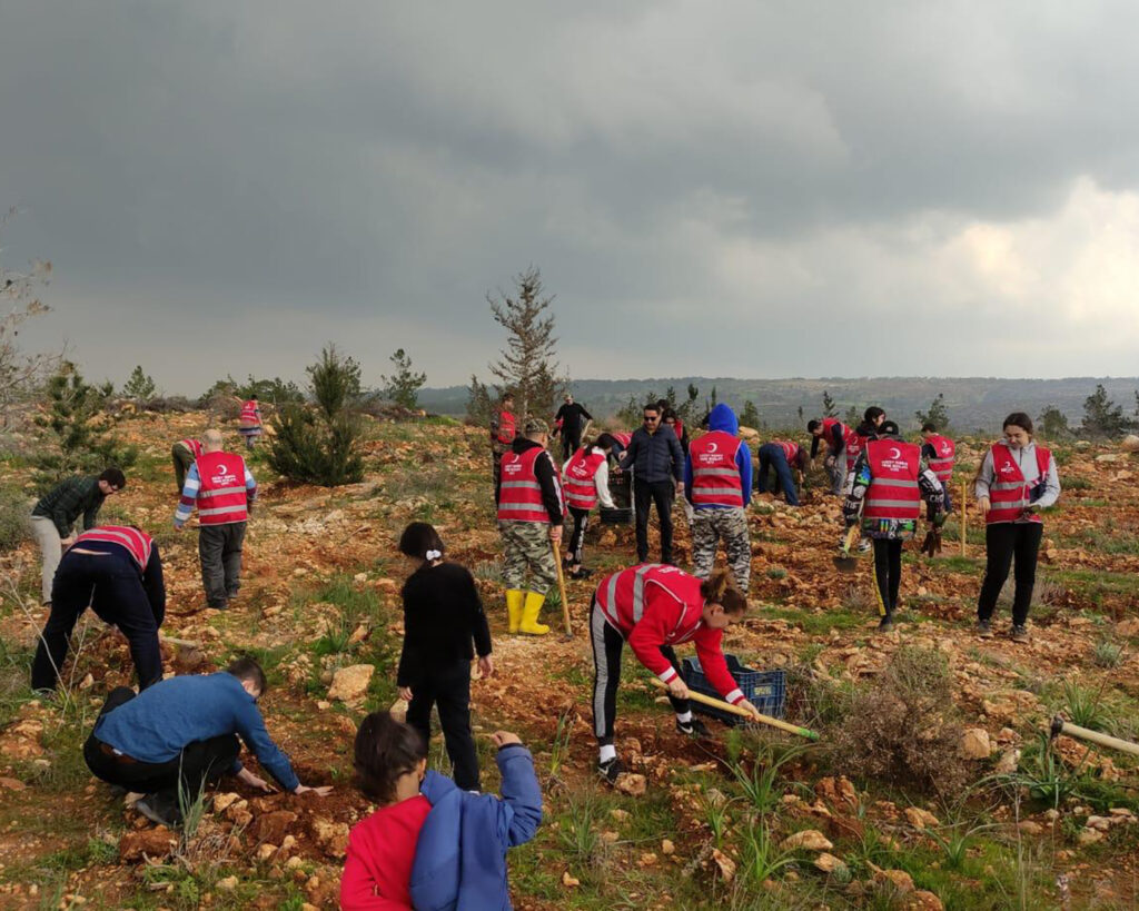 Kızılay, Kalkanlı’da anı ormanı oluşturdu