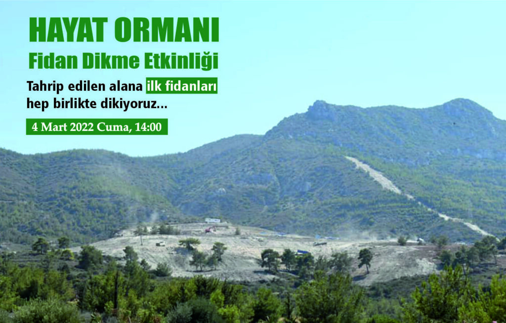 Girne’ye “Hayat Ormanı”