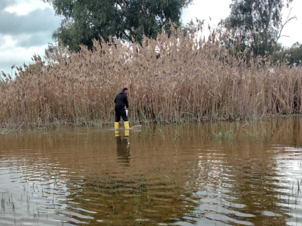 Arter: “Hem çevreye uyumlu hem etkili yöntemler kullanılıyor”