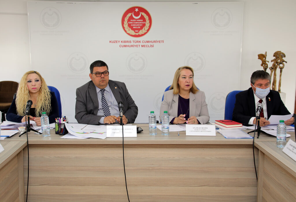 “4 yasanın geçmesi konusunda kararlıyız”