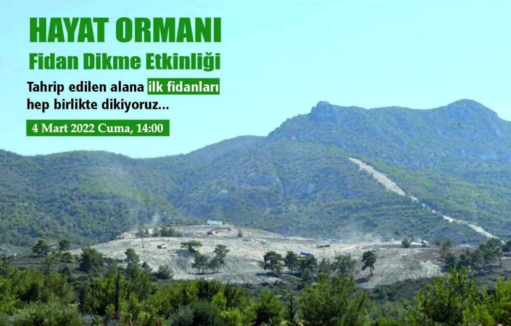 Girne’de ilan edilen ormanlık arazide ağaç dikim etkinliği yapılacak