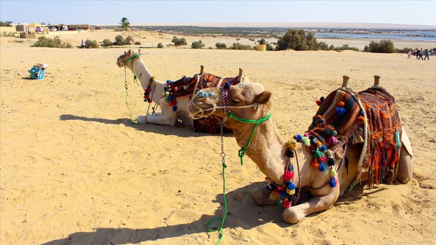Mısır’da iklim değişikliğinin doğal felaketlere yol açmasından endişe ediliyor