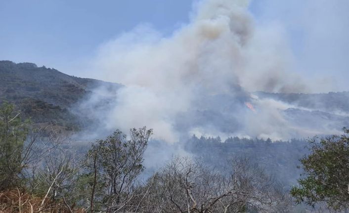 Geçitköy’de büyük yangın!