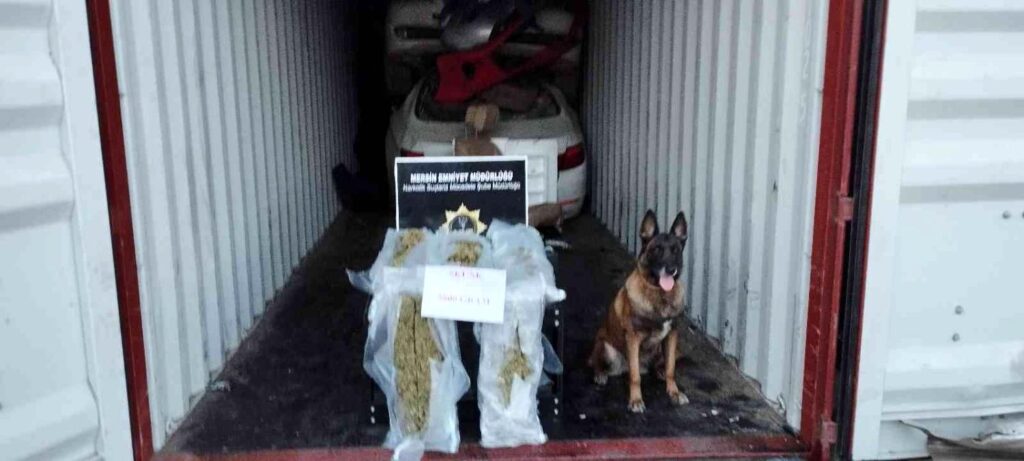 Mersin Limanı’nda konteynerde 5,8 kilo uyuşturucu ele geçirildi