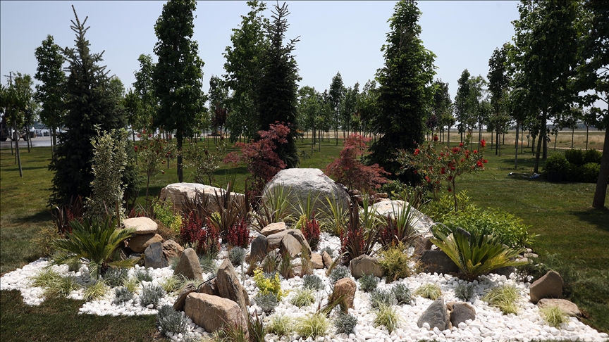 Atatürk Havalimanı Millet Bahçesi’ne 145 bin 300 ağaç dikilecek