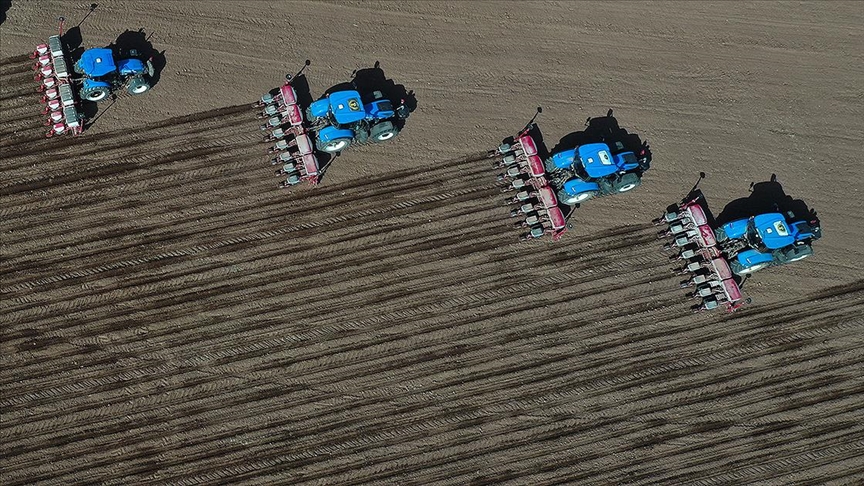 Dünya Tohumculuk Kongresi 2025’te İstanbul’da yapılacak